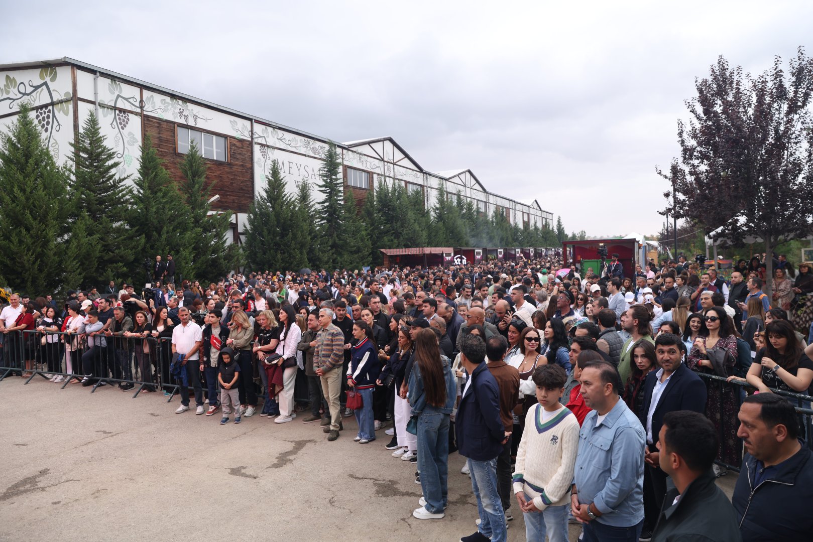 Grape and Wine Festival opens in Azerbaijan's Shamakhi (PHOTO)
