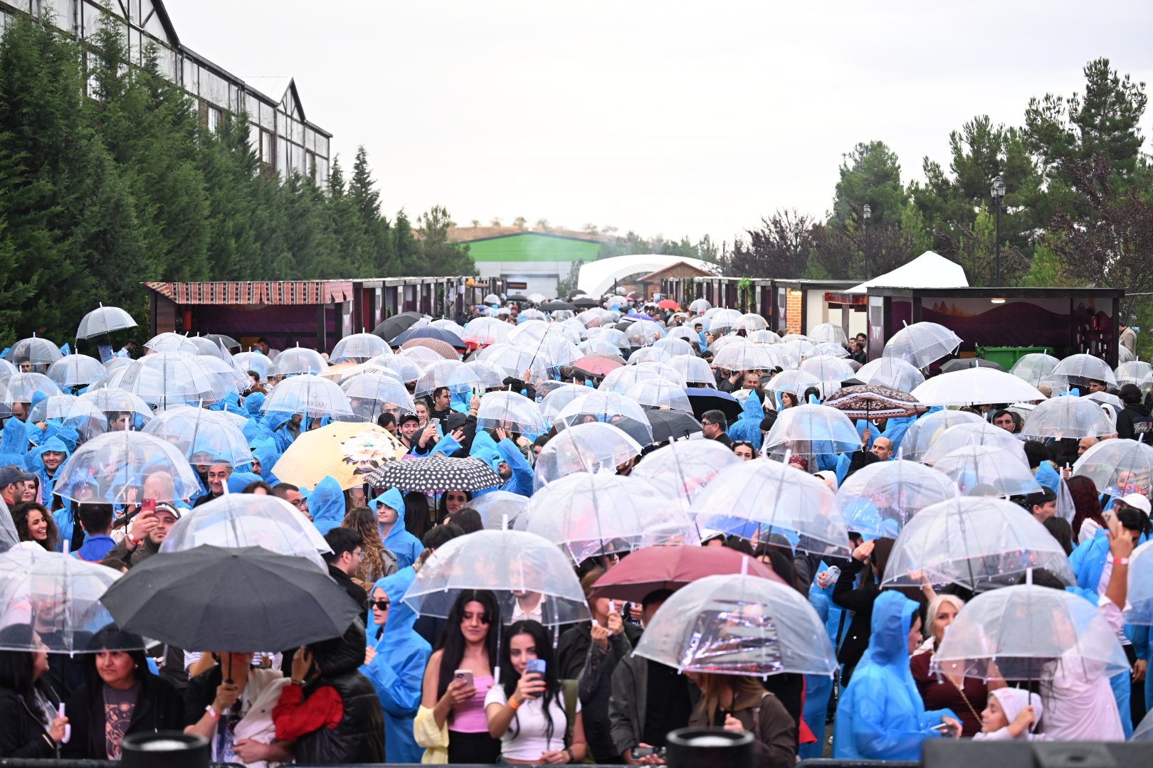 Grape and Wine Festival opens in Azerbaijan's Shamakhi (PHOTO)