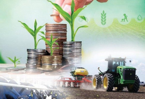 Kazakhstan’s gross agricultural output sees steady growth in 8M2025