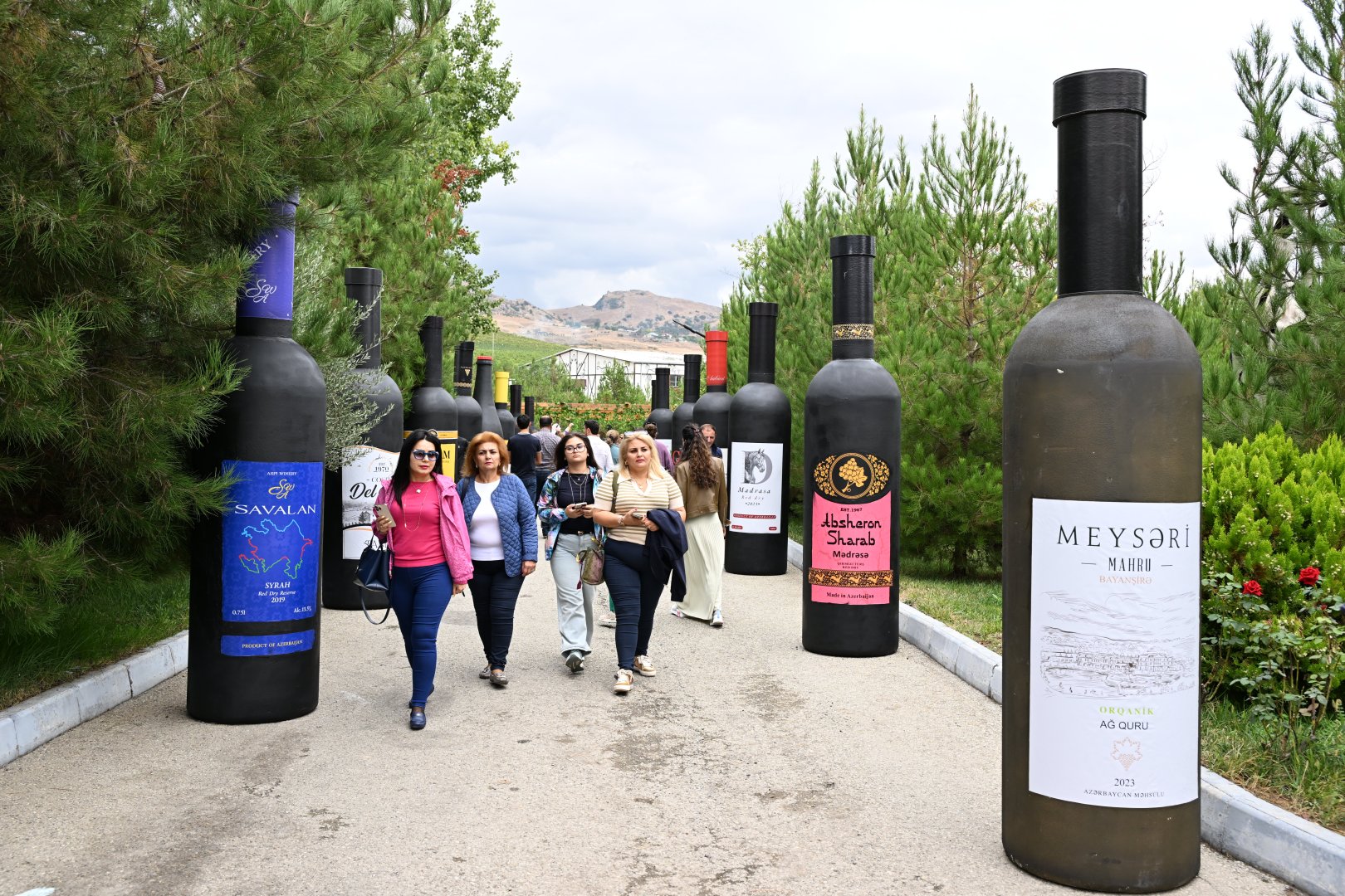 Grape and Wine Festival kicks off in Azerbaijan's Shamakhi (PHOTO)
