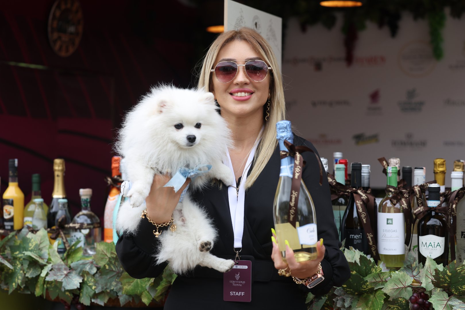 Grape and Wine Festival kicks off in Azerbaijan's Shamakhi (PHOTO)