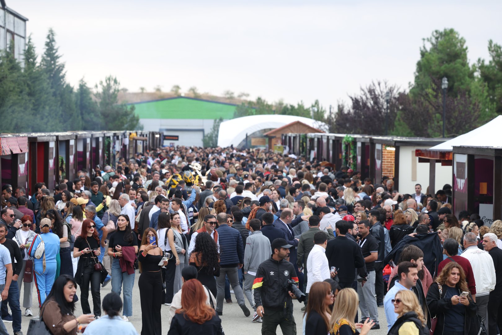 Grape and Wine Festival kicks off in Azerbaijan's Shamakhi (PHOTO)