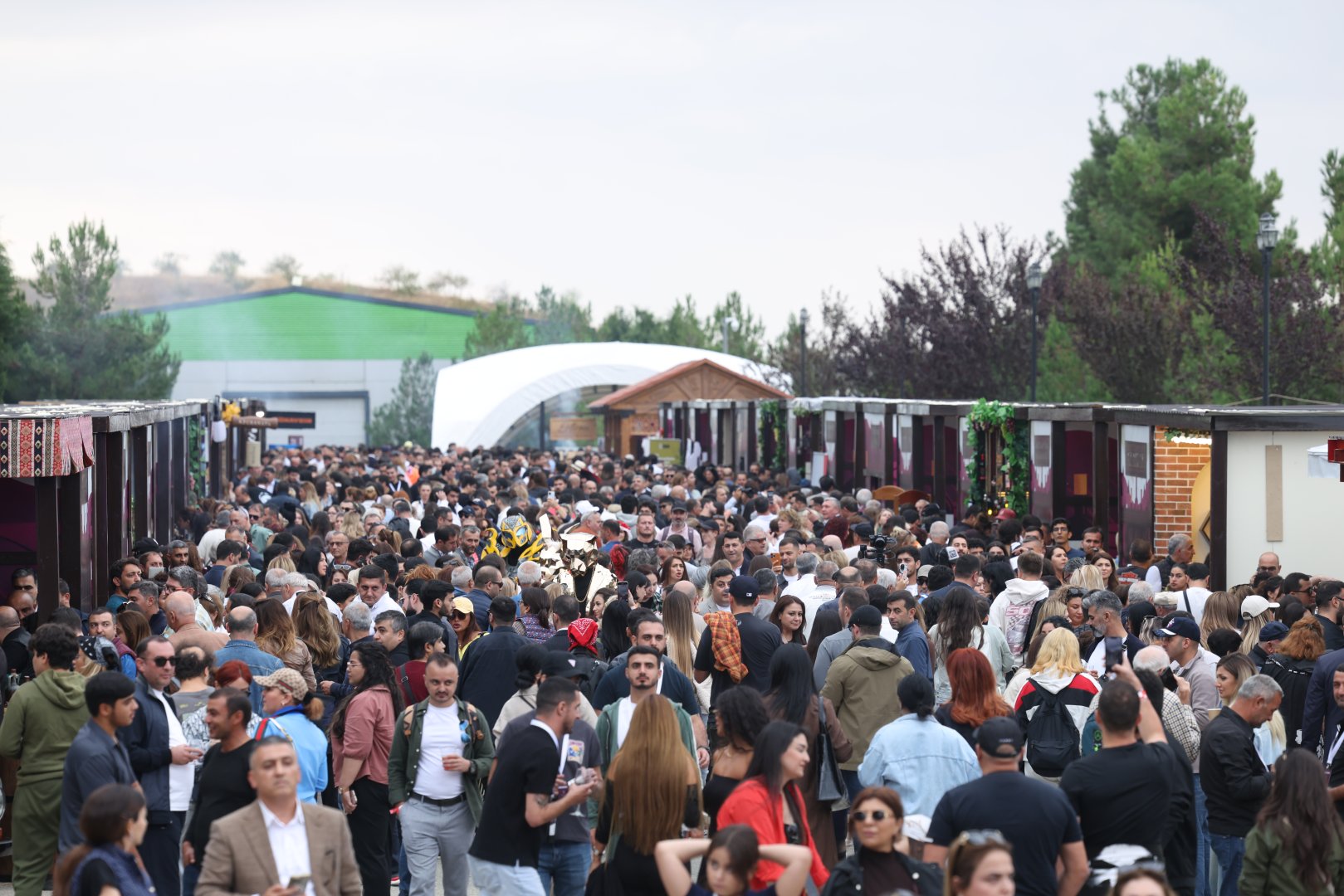 Grape and Wine Festival kicks off in Azerbaijan's Shamakhi (PHOTO)