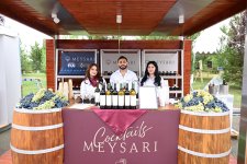 Grape and Wine Festival kicks off in Azerbaijan's Shamakhi (PHOTO)