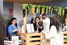 Grape and Wine Festival kicks off in Azerbaijan's Shamakhi (PHOTO)