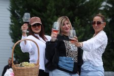 Grape and Wine Festival opens in Azerbaijan's Shamakhi (PHOTO)