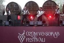 Grape and Wine Festival opens in Azerbaijan's Shamakhi (PHOTO)