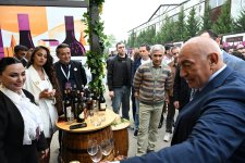Grape and Wine Festival opens in Azerbaijan's Shamakhi (PHOTO)