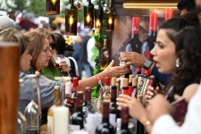 Grape and Wine Festival opens in Azerbaijan's Shamakhi (PHOTO)
