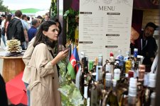 Grape and Wine Festival opens in Azerbaijan's Shamakhi (PHOTO)