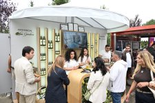 Grape and Wine Festival opens in Azerbaijan's Shamakhi (PHOTO)