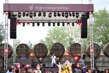Grape and Wine Festival opens in Azerbaijan's Shamakhi (PHOTO)