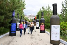 Grape and Wine Festival kicks off in Azerbaijan's Shamakhi (PHOTO)