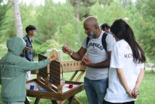 Grape and Wine Festival kicks off in Azerbaijan's Shamakhi (PHOTO)