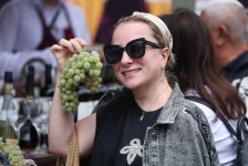 Grape and Wine Festival kicks off in Azerbaijan's Shamakhi (PHOTO)