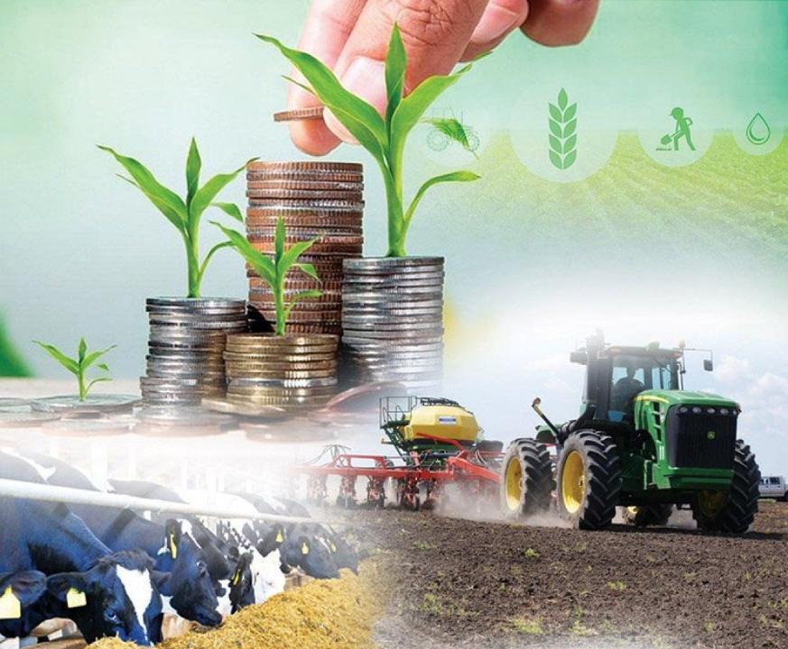 Kazakhstan’s gross agricultural output sees steady growth in 8M2025