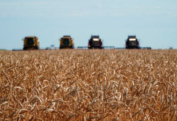 Kazakhstan reveals major support initiative for agribusiness