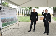 President Ilham Aliyev inspects work at mulberry orchard in Dashbulaq village of Khojaly (PHOTO)