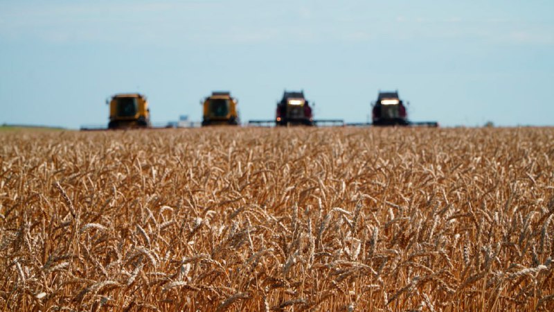 Kazakhstan reveals major support initiative for agribusiness