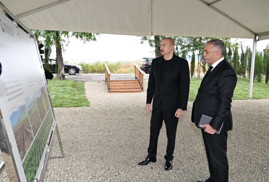 President Ilham Aliyev inspects work at mulberry orchard in Dashbulaq village of Khojaly (PHOTO)