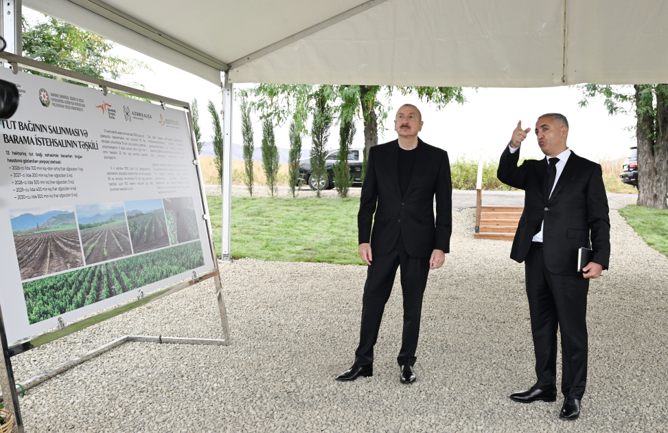 President Ilham Aliyev inspects work at mulberry orchard in Dashbulaq village of Khojaly (PHOTO)