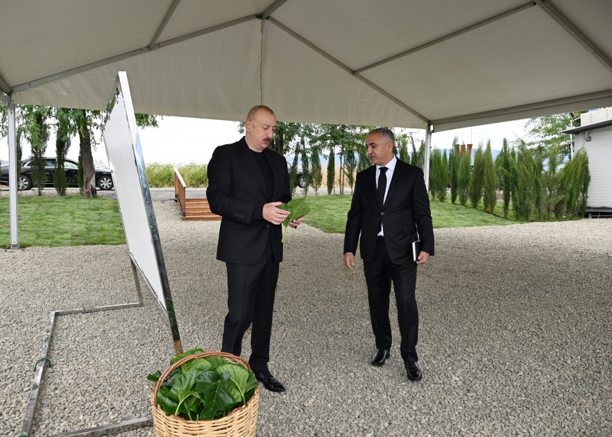 President Ilham Aliyev inspects work at mulberry orchard in Dashbulaq village of Khojaly (PHOTO)