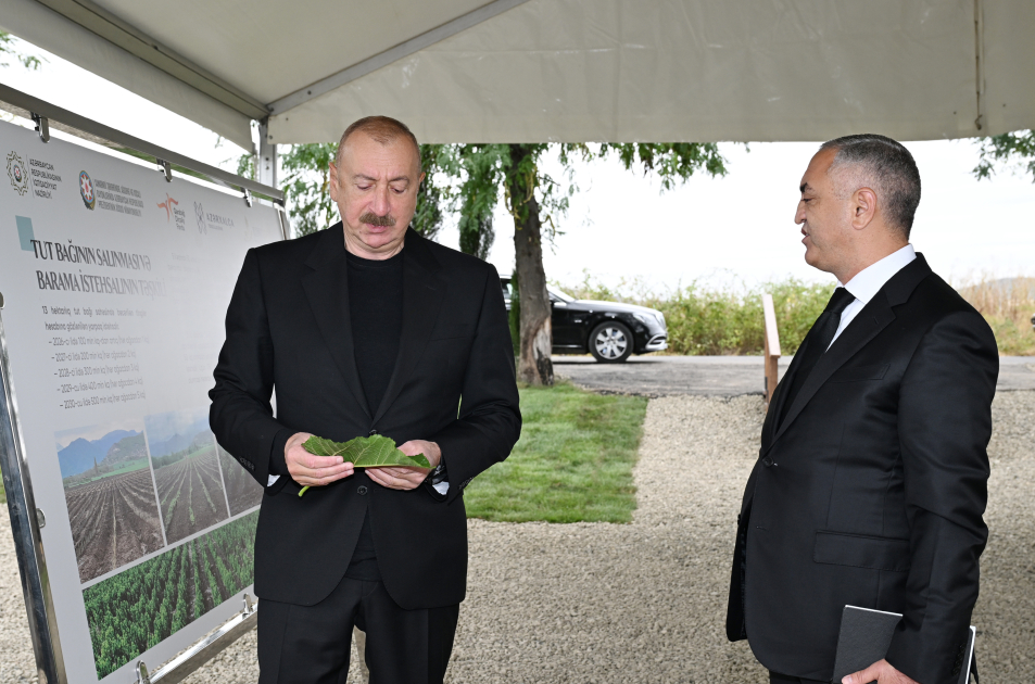President Ilham Aliyev inspects work at mulberry orchard in Dashbulaq village of Khojaly (PHOTO)