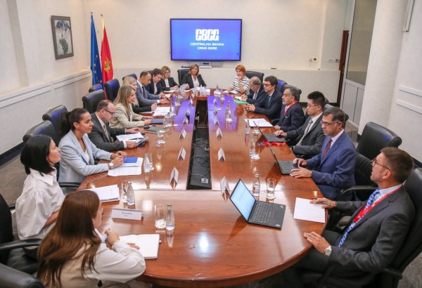 IMF mission begins economic review in Montenegro (PHOTO)