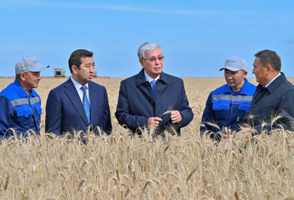 Kazakhstan’s Akmola reports growth in sowing and harvest output