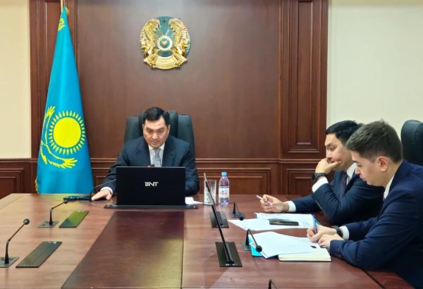 Kazakhstan and Japan discuss green energy bridge between Asia and Europe