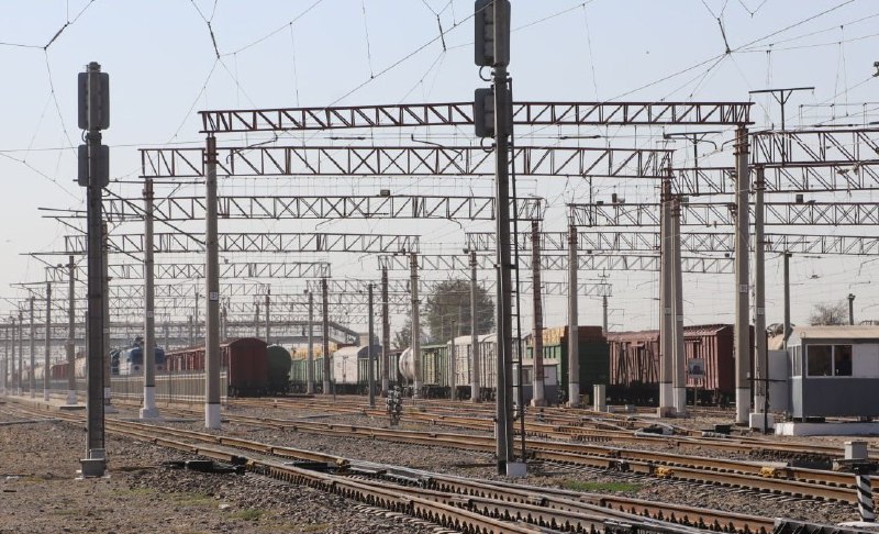 Uzbekistan’s rail freight transportation shows promising growth