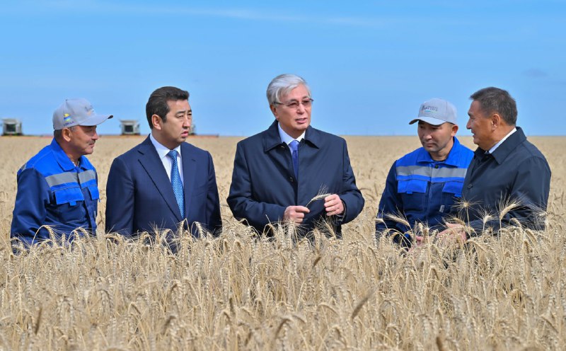 Kazakhstan’s Akmola reports growth in sowing and harvest output