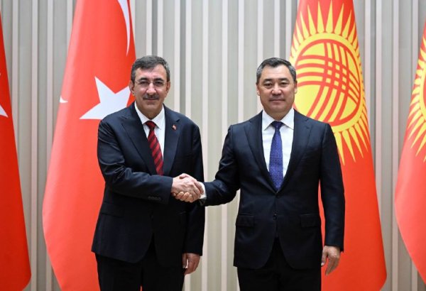 Kyrgyzstan, Türkiye discuss expanding healthcare, banking, and investment co-op