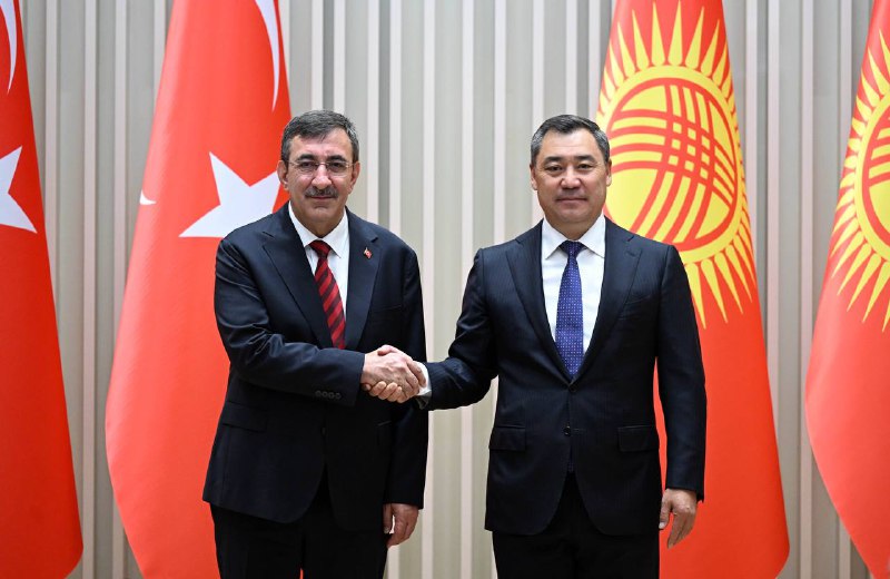 Kyrgyzstan, Türkiye discuss expanding healthcare, banking, and investment co-op