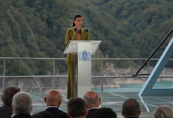 Georgia's abundant water resources key to national dev't - minister