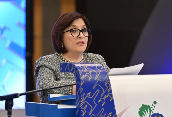 New opportunities emerge for Azerbaijan‑Croatia legislative collaboration - speaker