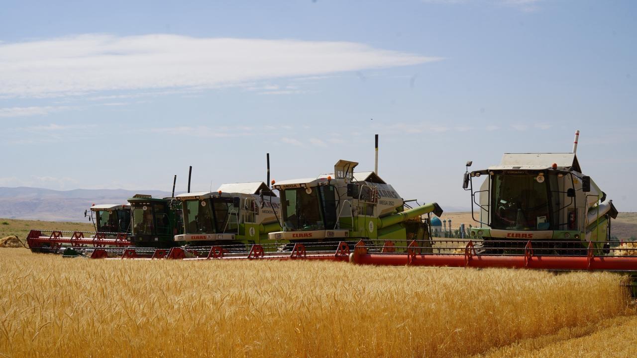 Kazakhstan discloses progress in grain and legume harvesting