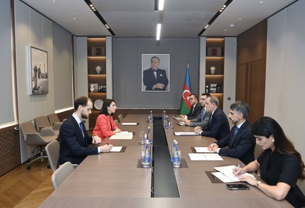 Azerbaijani foreign minister meets with newly appointed French ambassador (PHOTO)