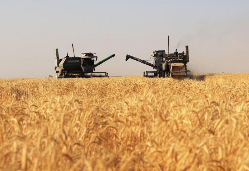 Kazakhstan announces plans for agro-industrial projects in Almaty region