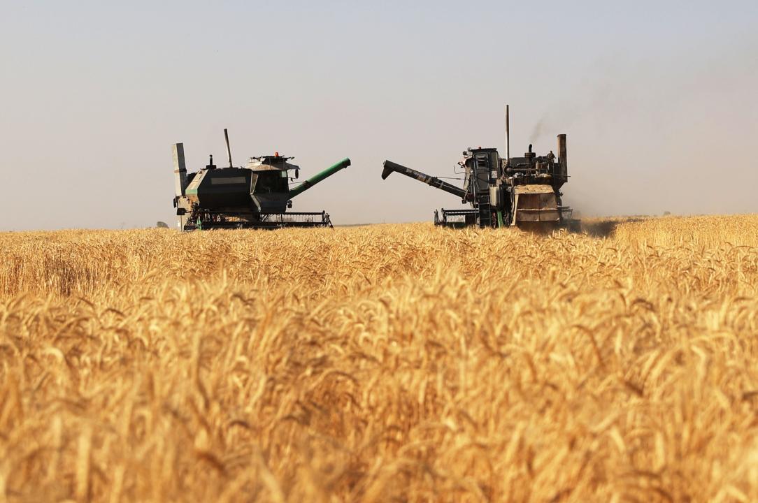 Kazakhstan’s Zhambyl reveals ambitious agricultural plans for 2025 - 2027