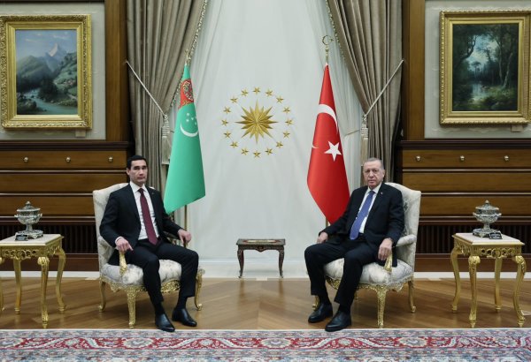 Türkiye pledges strengthened ties within OTS with Turkmenistan