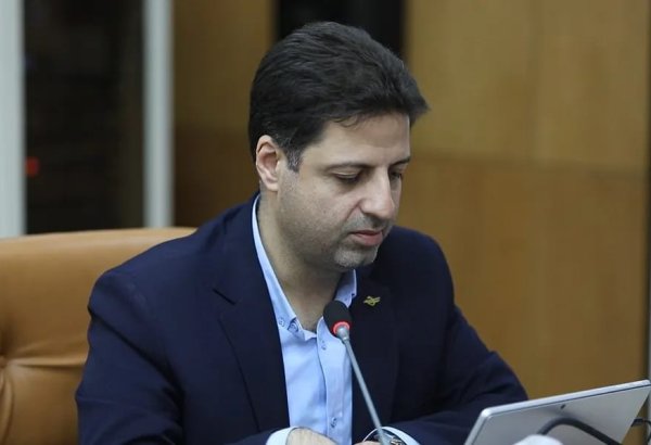 Iran’s air industry remains unaffected by snapback mechanism, official says