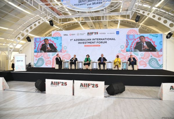 World Bank shines light on promising prospects of Black Sea submarine cable project