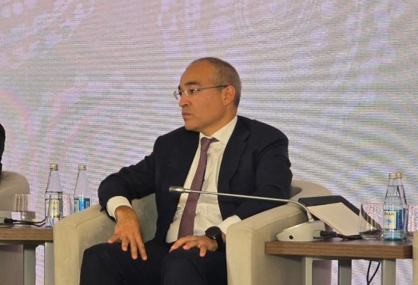 Azerbaijan declares level playing field for private and state firms in key sectors