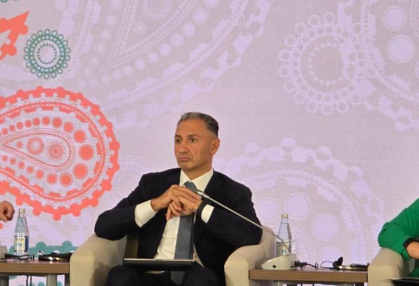 Azerbaijan may increase its IT exports to $1 billion - Minister