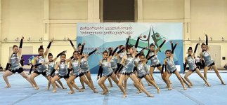 Georgian minister visits Azerbaijani diaspora committee (PHOTO)