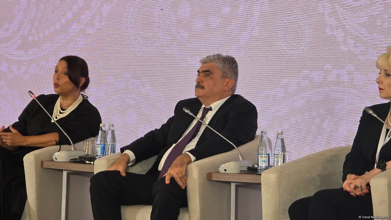 Azerbaijan open to all investments in spirit of friendship and support, official says