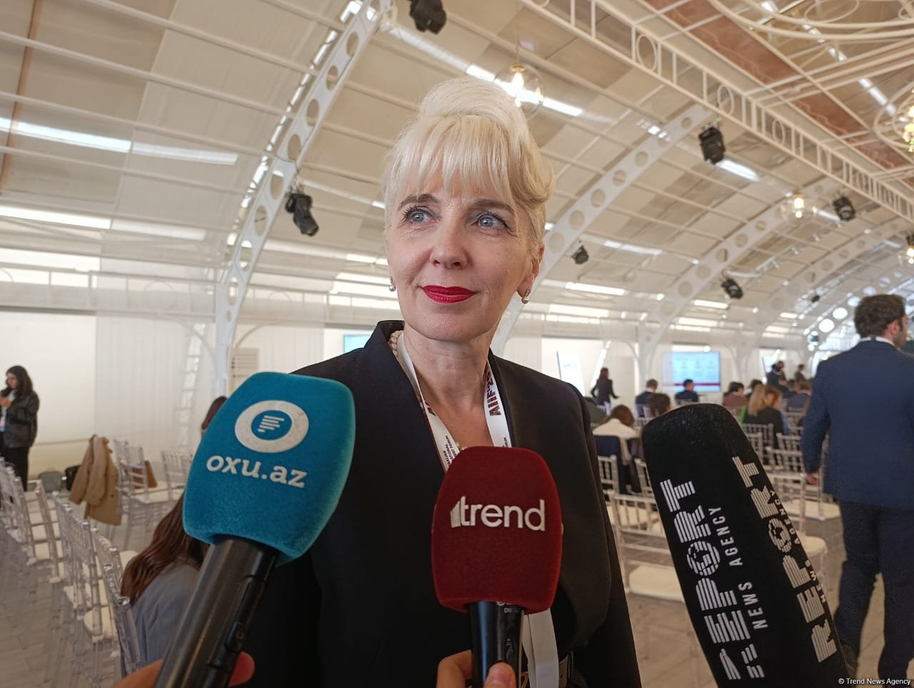 Middle Corridor opens new doors for Serbia-Azerbaijan collaboration, minister says