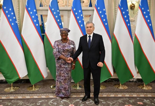 Uzbekistan pushes envelope on WTO entry in high-level meeting