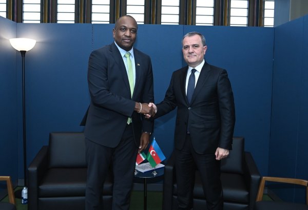 Azerbaijan, Suriname FMs meet at UNGA (PHOTO)
